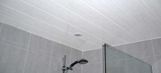 bathroom ceiling utilising cladding above the shower area