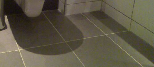 floor tiles in a bathroom setting